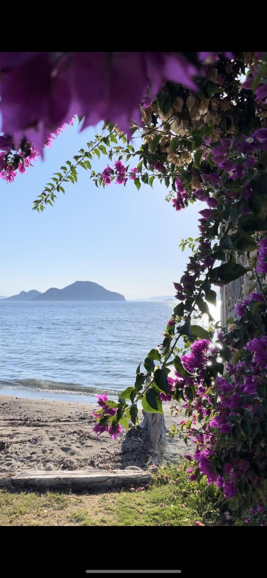 Villa Di Mare Bodrum Ngoại thất bức ảnh